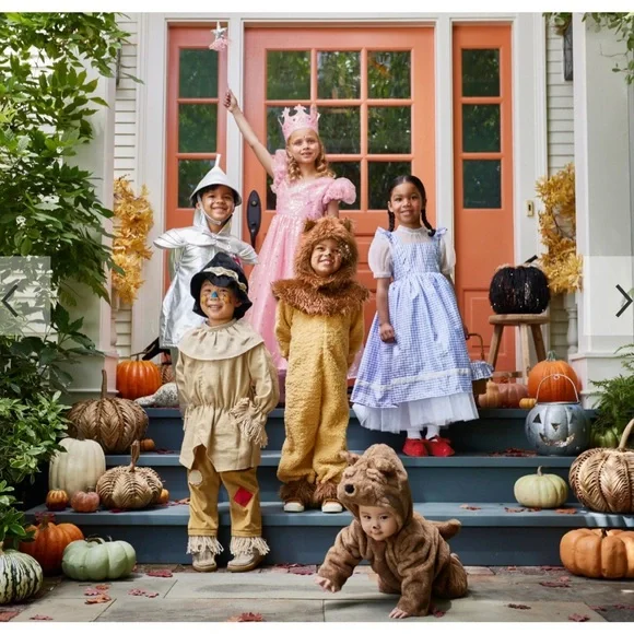 Wizard of Oz  Kids Scarecrow Costume - PBK - Picture 9 of 13